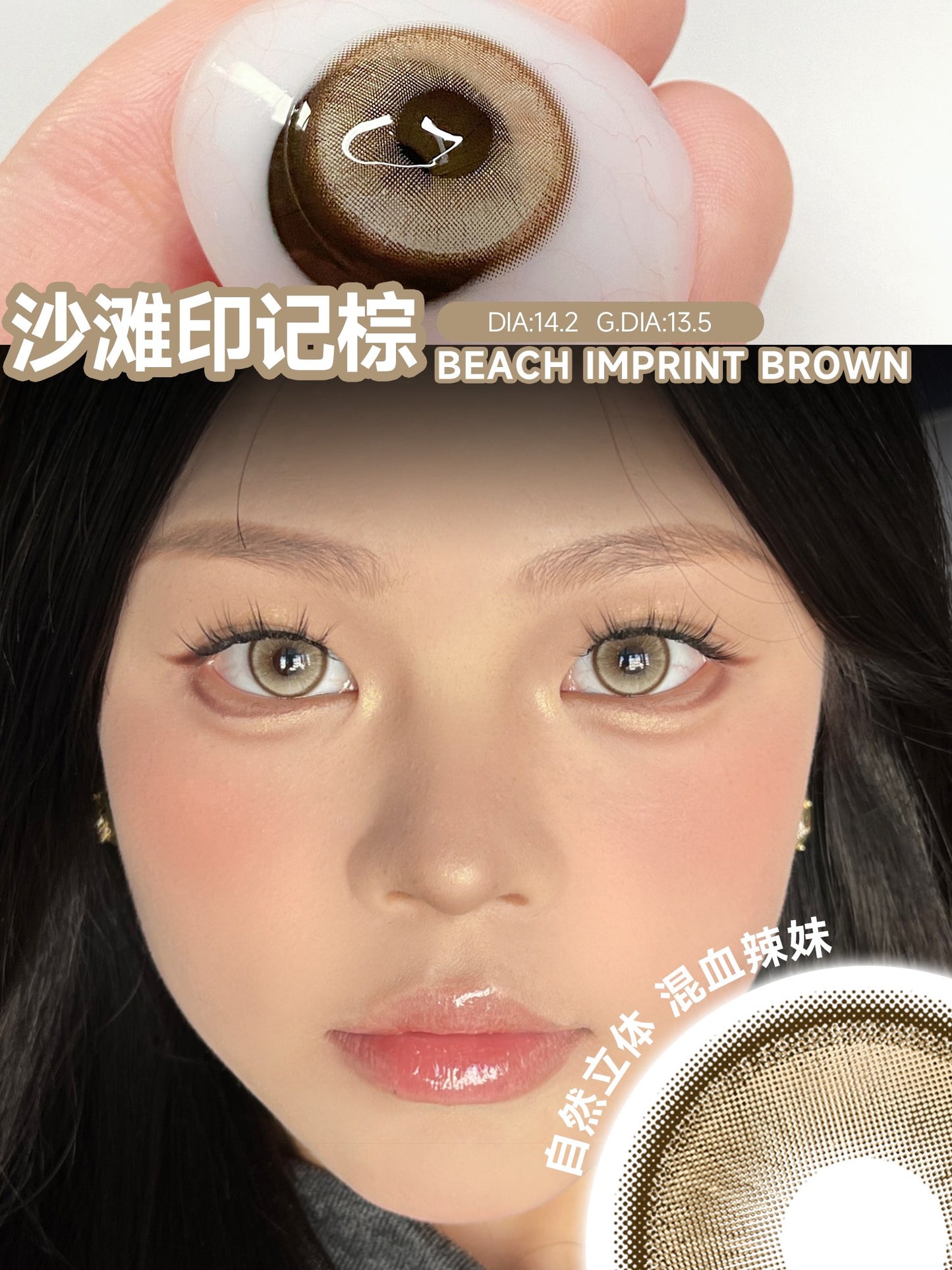 SERLTYCA 沙灘印記棕 半年拋/日拋1盒6片