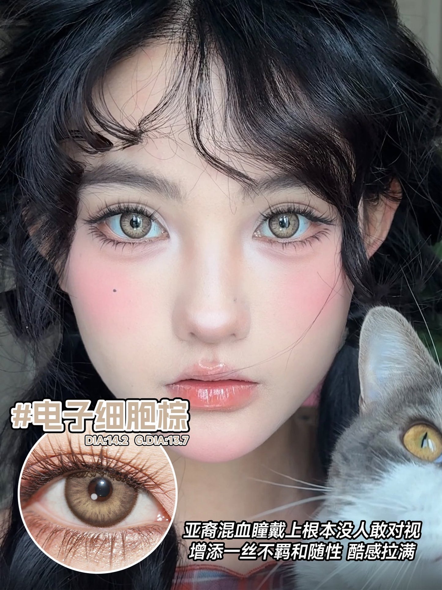 SERLTYCA 電子細胞棕 半年拋/日拋1盒6片