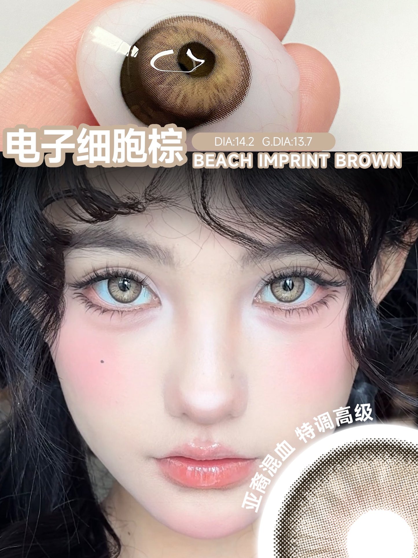 SERLTYCA 電子細胞棕 半年拋/日拋1盒6片