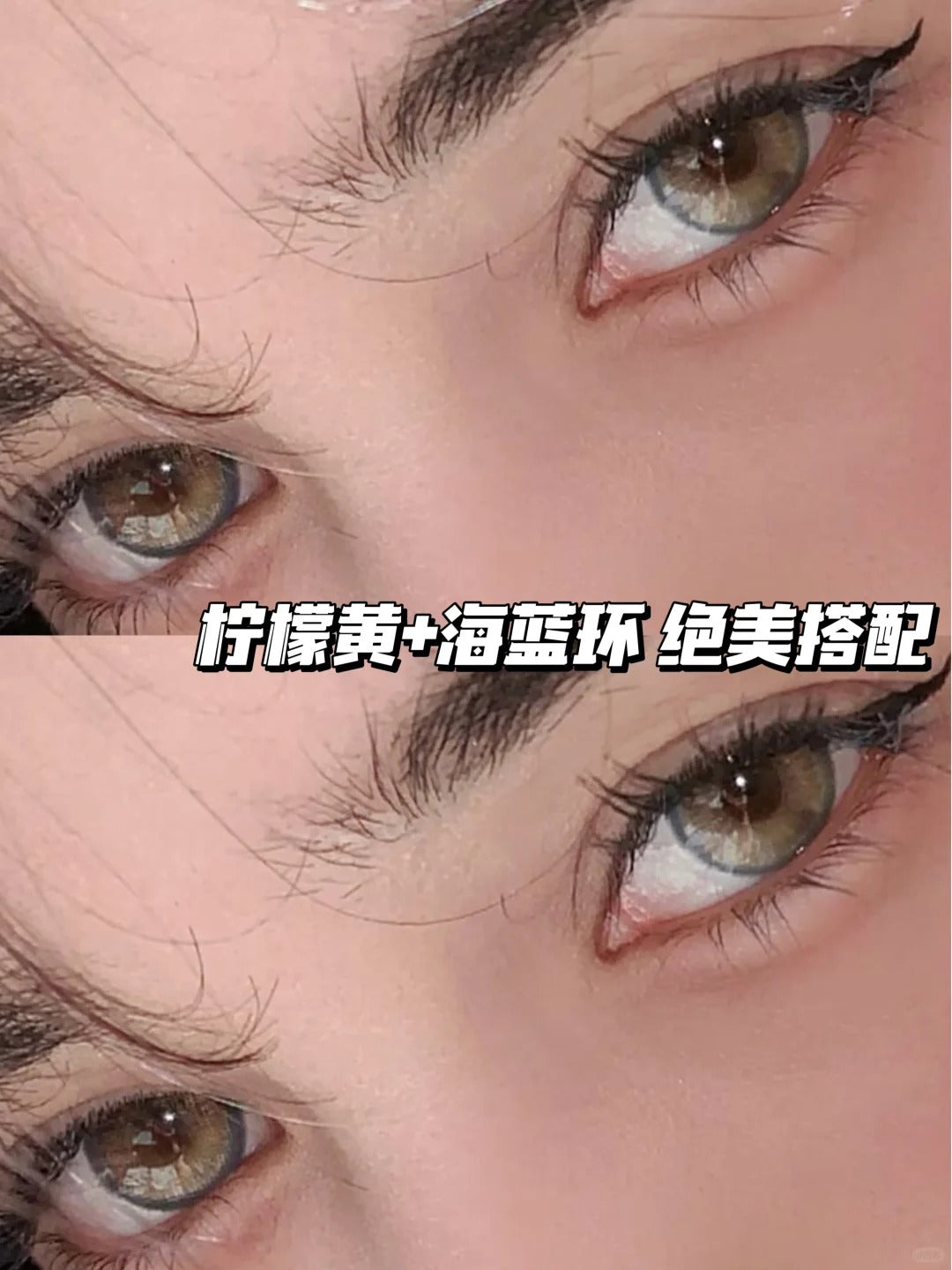 BOLLYCON 檸檬海 半年拋/日拋10片1盒