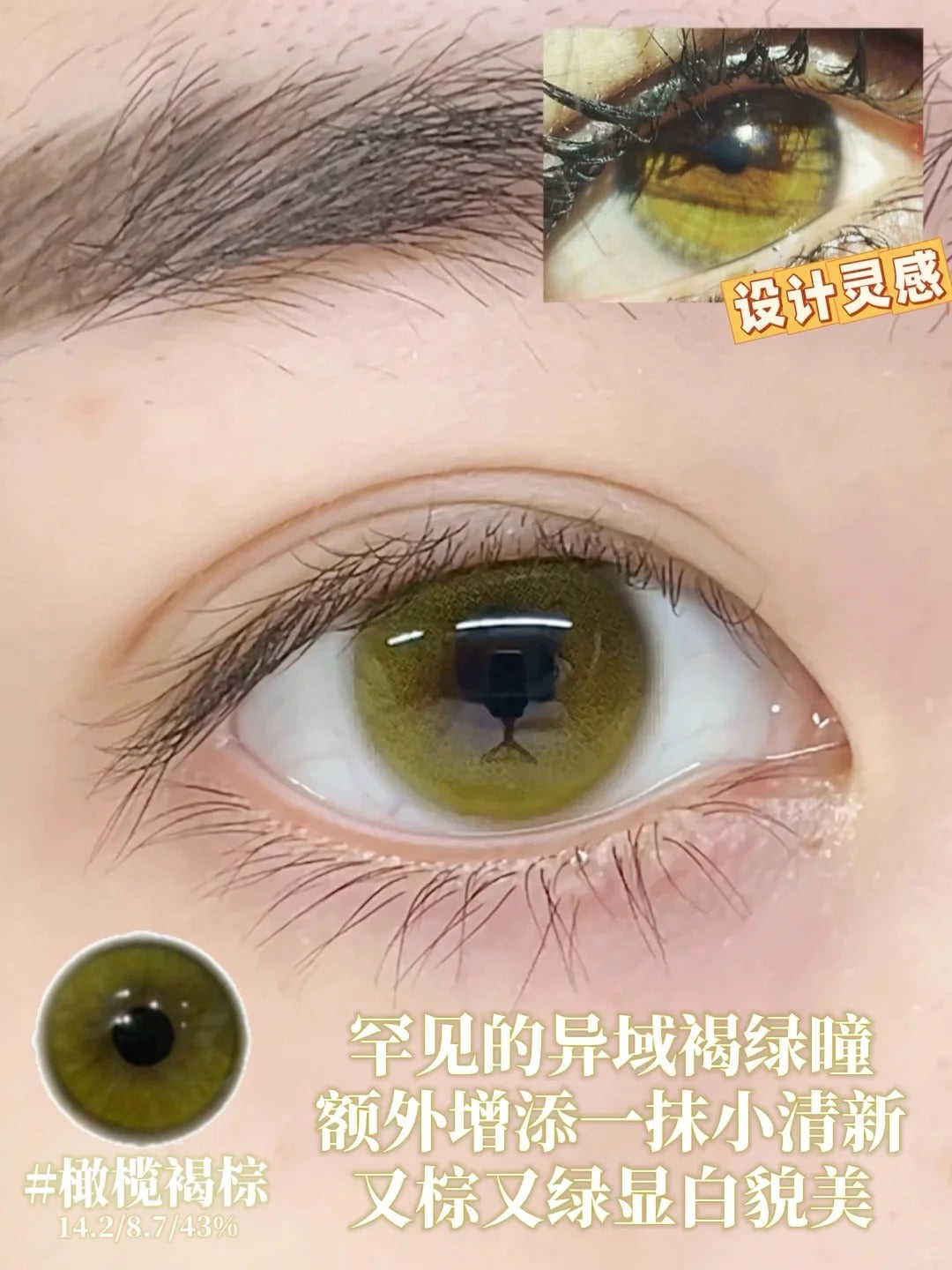 BOLLYCON 橄欖褐棕 日拋10片/1盒