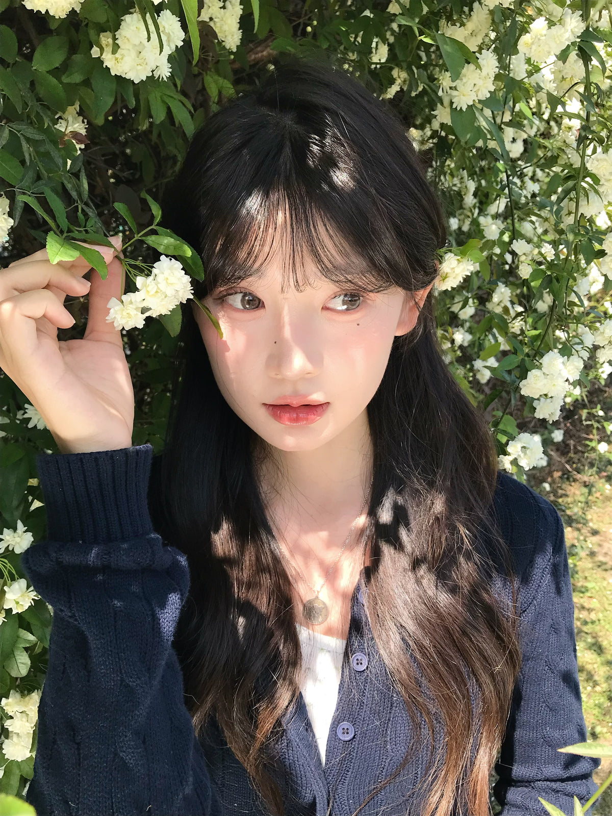KiraFairy 曼谷色 日拋10片/盒 ONEDAY CON