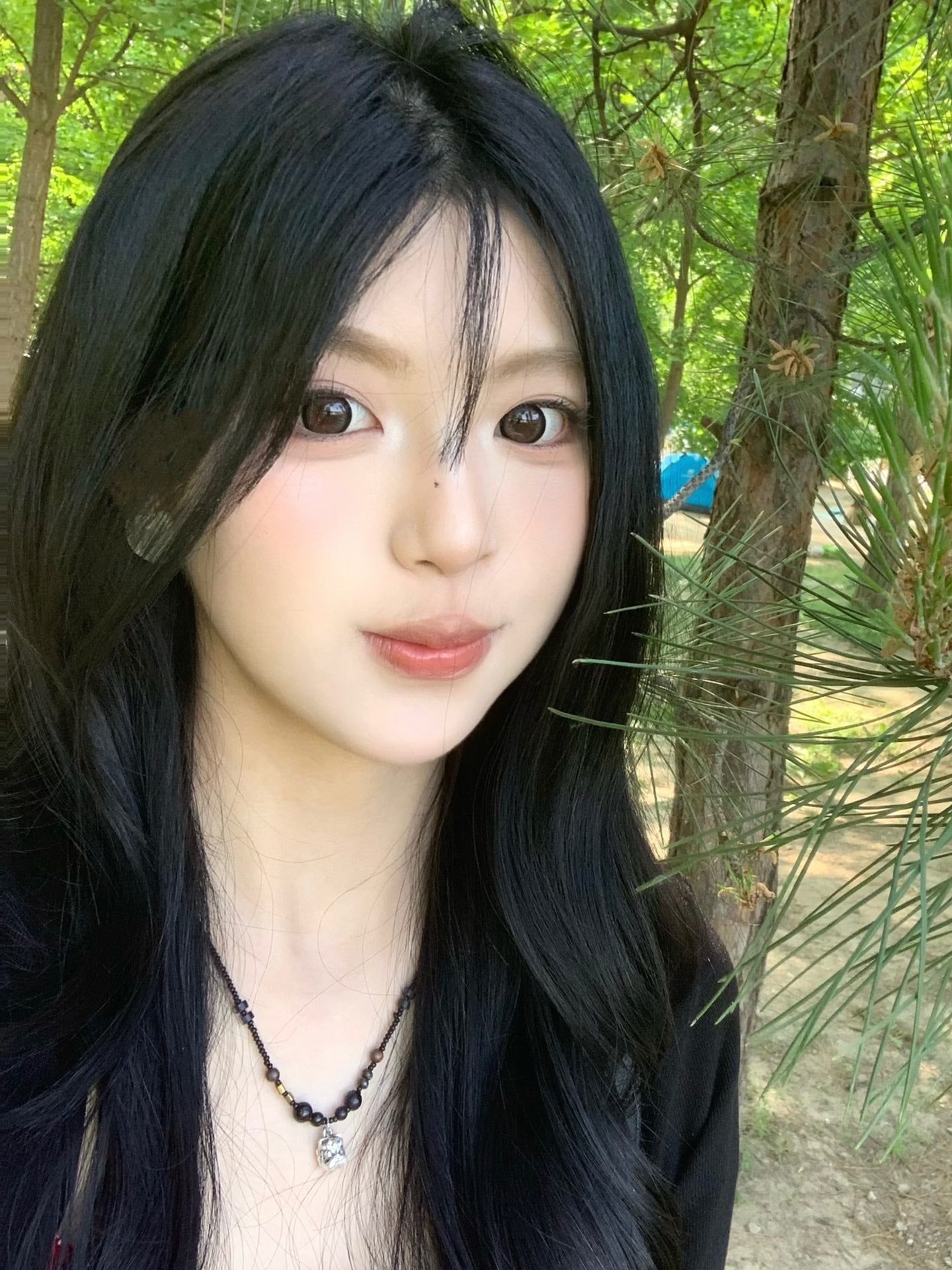 DORAGINA 可可杏仁 日拋10片/1盒