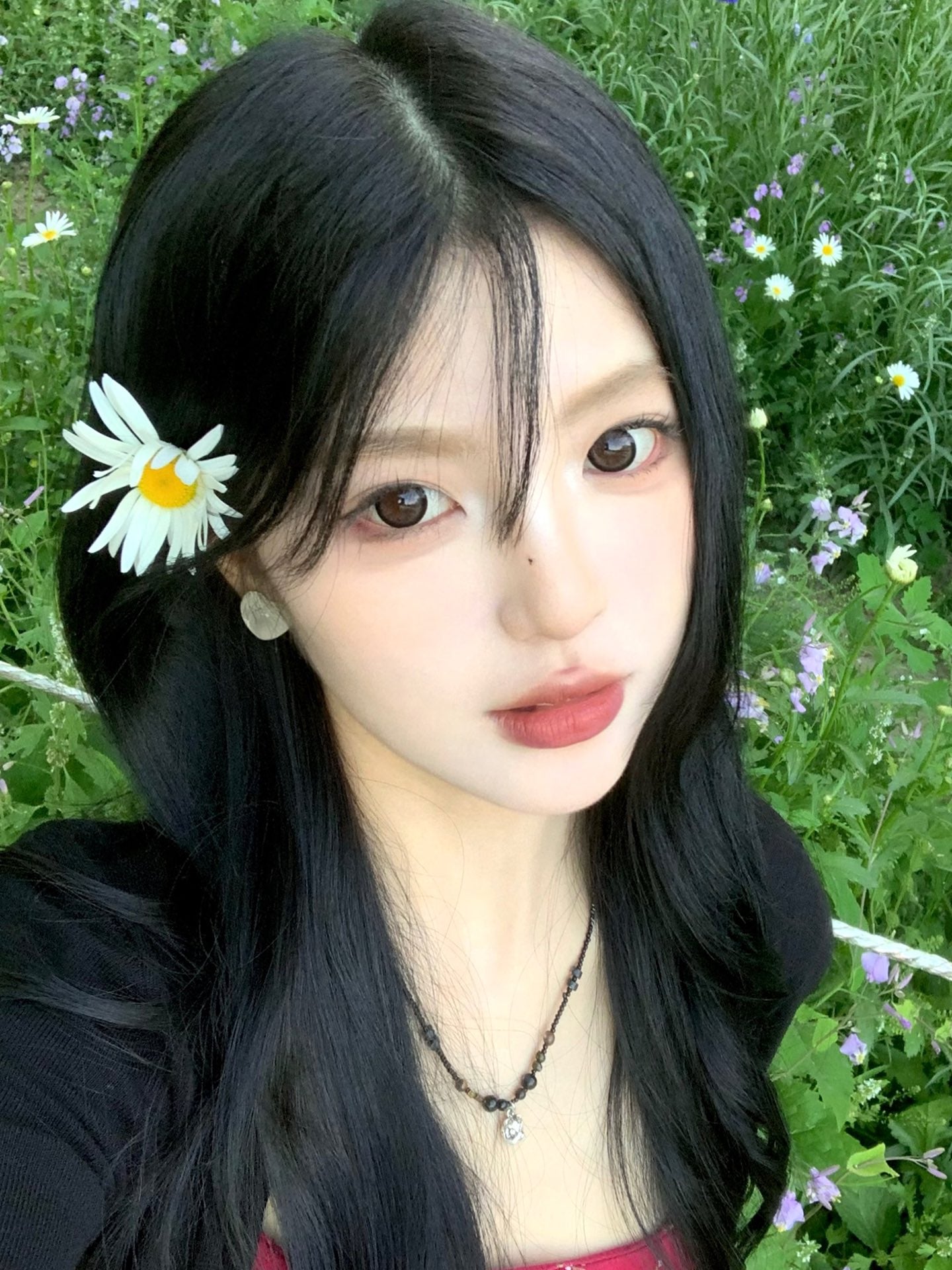 DORAGINA 可可杏仁 日拋10片/1盒