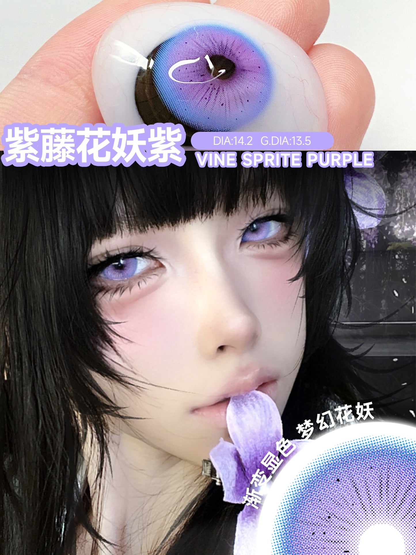 SERLTYCA 紫藤花妖紫 半年拋/日拋1盒6片