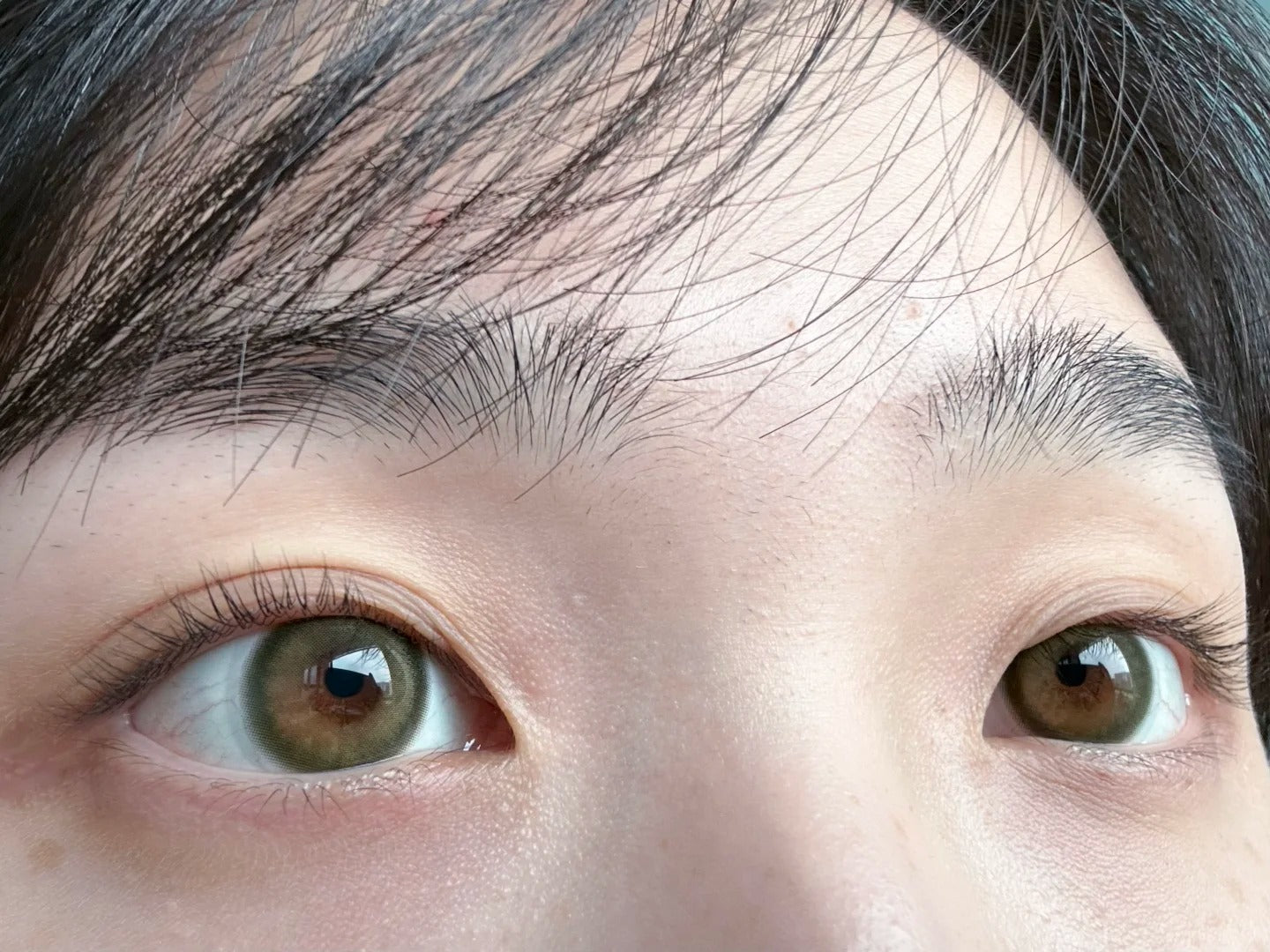 KiraFairy 蕨類留白 日拋1盒10片/半年拋