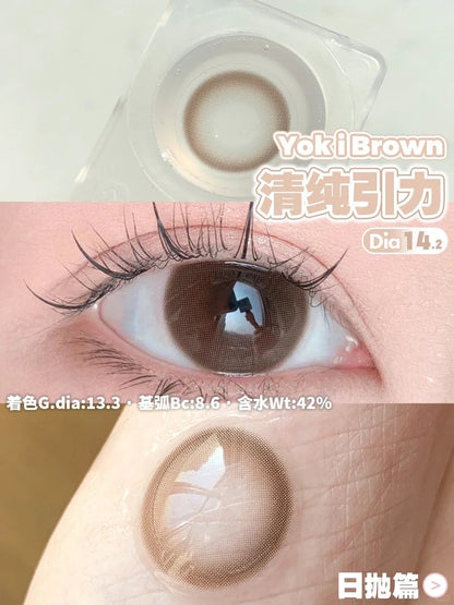 TOFFEE 清纯引力 日拋10片/1盒