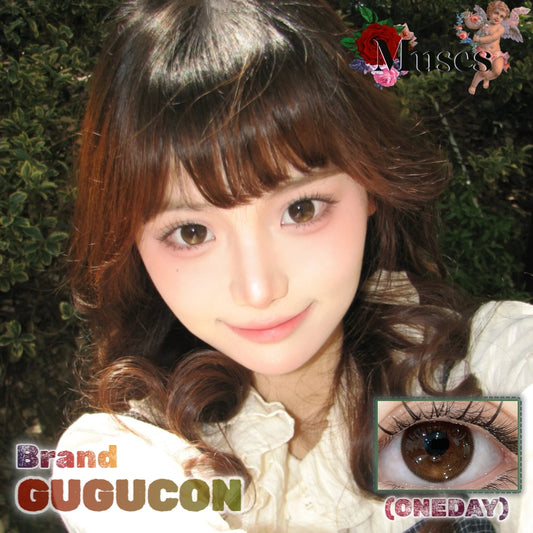 Gugucon 定軸高光 薪滿億足 日拋10片/1盒