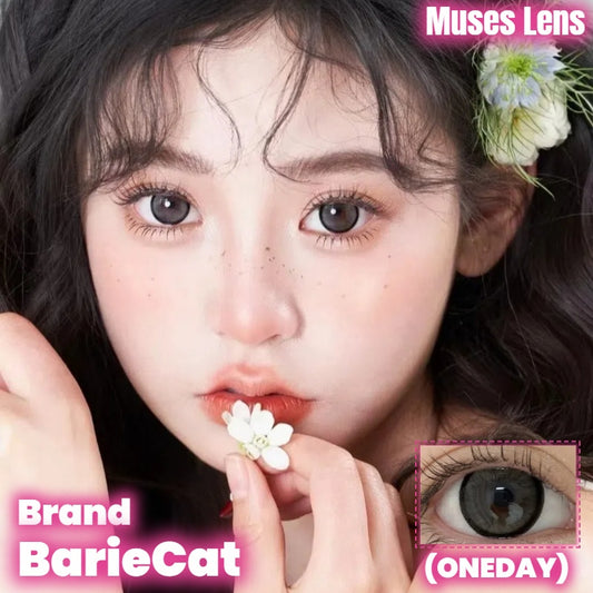 BarieCat 核桃先生 日拋10片/1盒