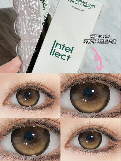 BOLLYCON 偷心布朗尼 日拋10片/1盒