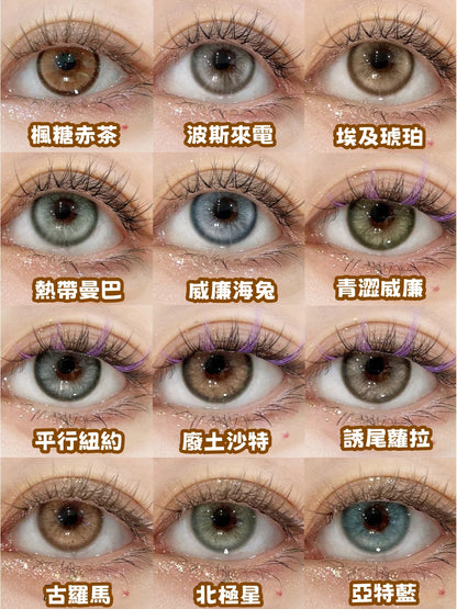 BOLLYCON 淡顏淺棕 日拋10片/1盒