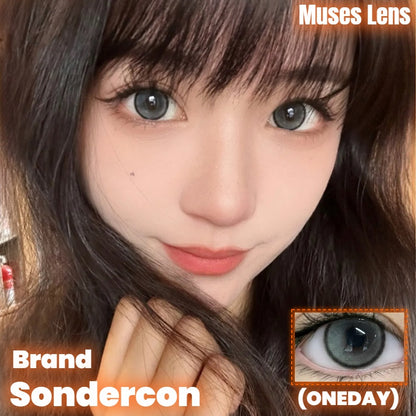 Sondercon 阿寶灰 日抛10片/1盒