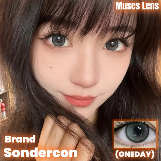 Sondercon 阿寶灰 日抛10片/1盒