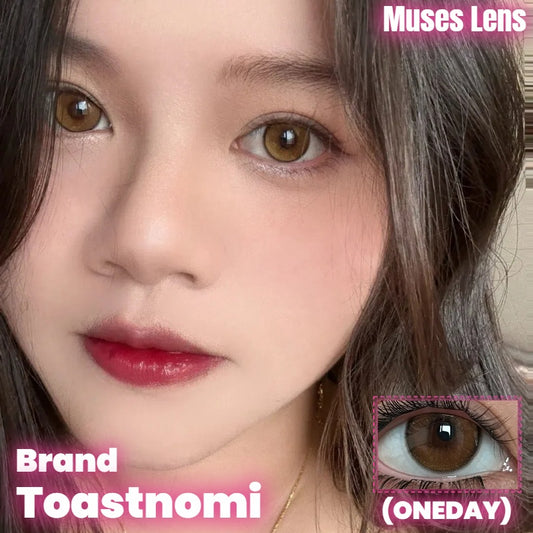 Toastnomi 黃金時代 日拋10片/1盒