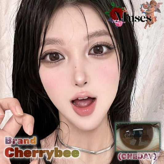 Cherrybee 姜汁巧片 日拋10片/1盒