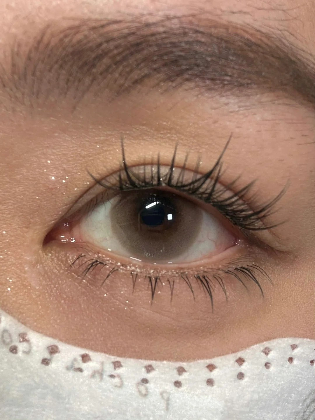 LOVEIIKIRA 水嘟嘟 日拋10片/1盒