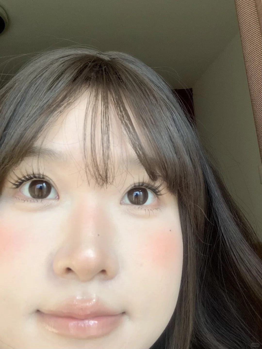 Gugucon 球球巧 日拋10片/1盒