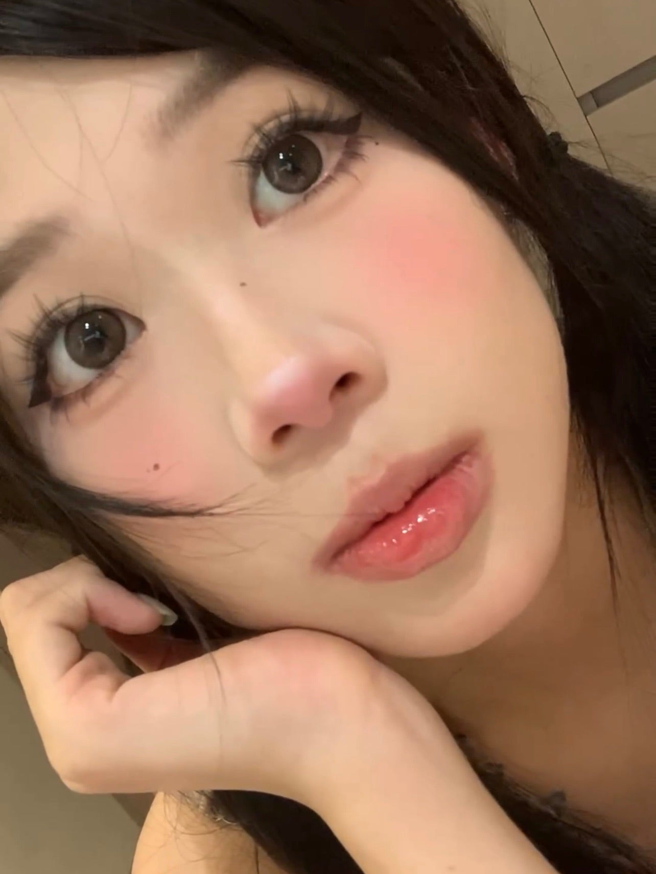 TOFFEE 肉肉蜜棕 日拋10片/1盒