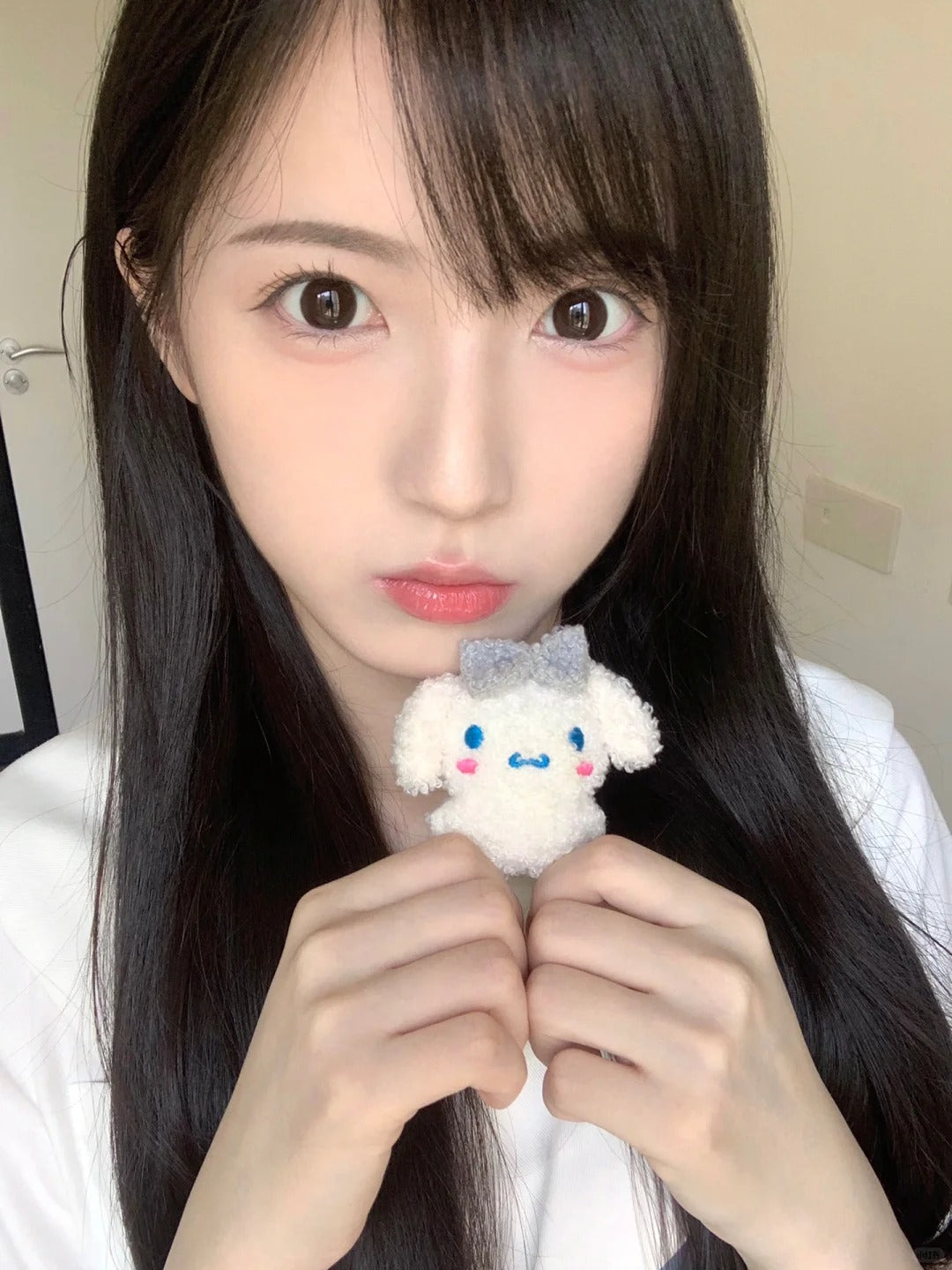 Gugucon 球球巧 日拋10片/1盒