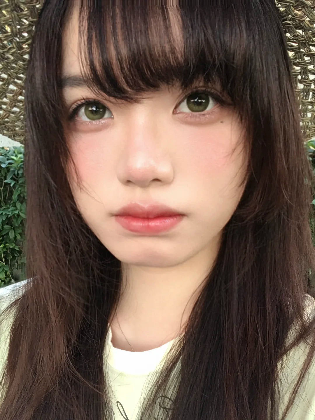 CHONOS 糯糯青山 日拋10片/1盒