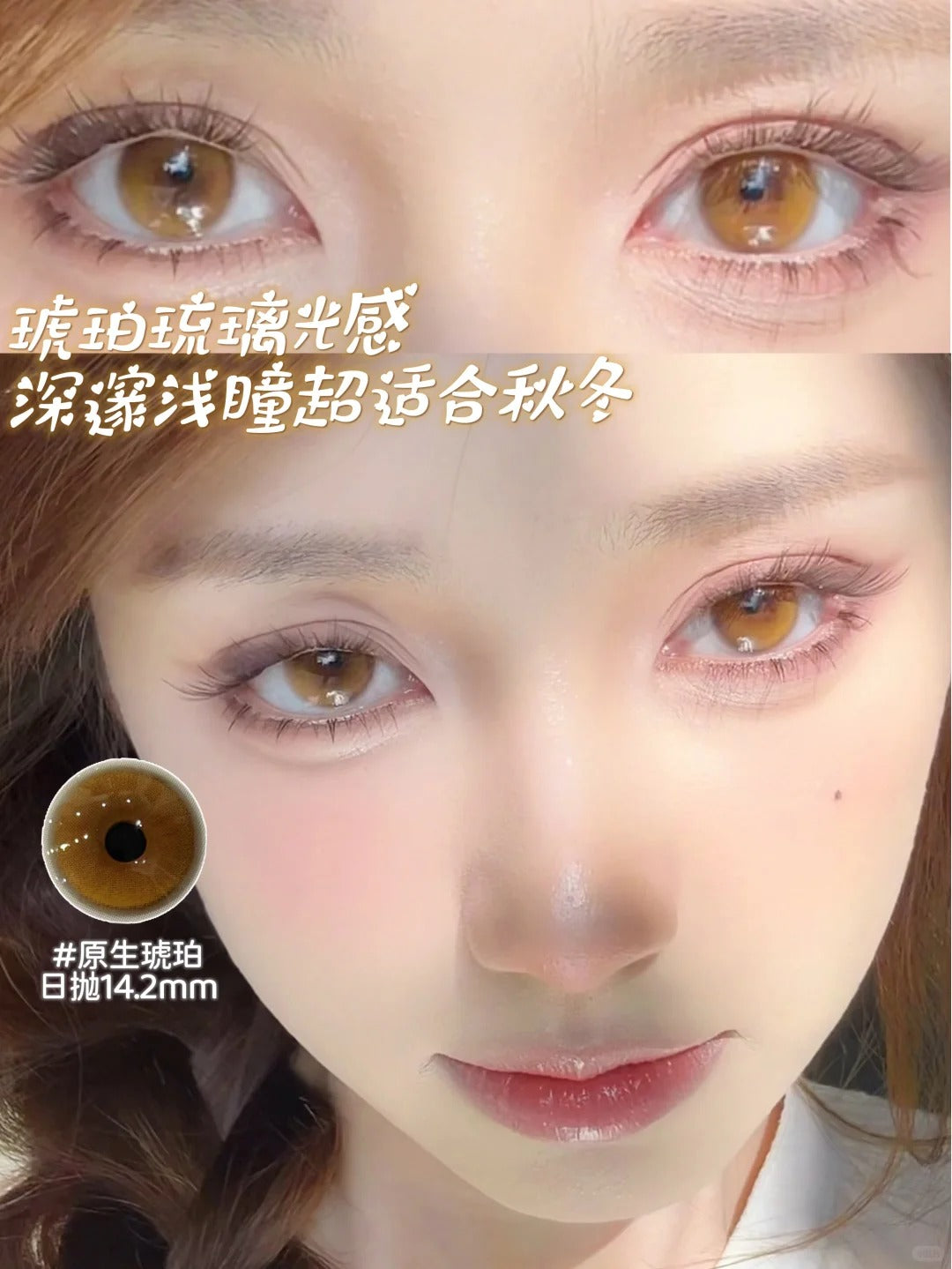 BOLLYCON 原生琥珀 日拋10片/1盒