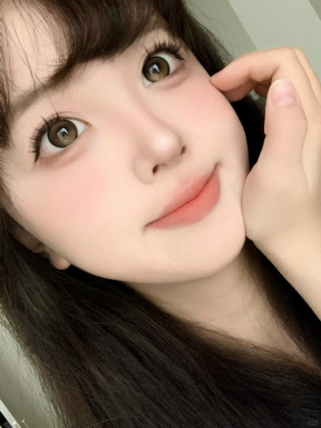 BOLLYCON 偷心布朗尼 日拋10片/1盒
