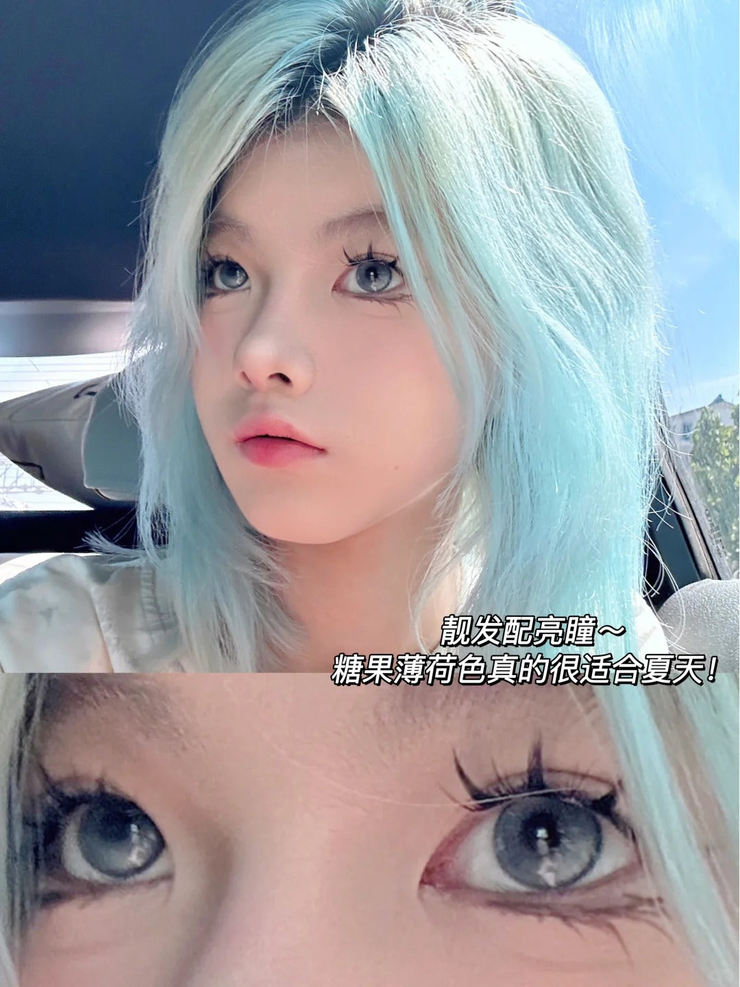 BOLLYCON 鹽湖貓眼 半年拋/日拋10片1盒