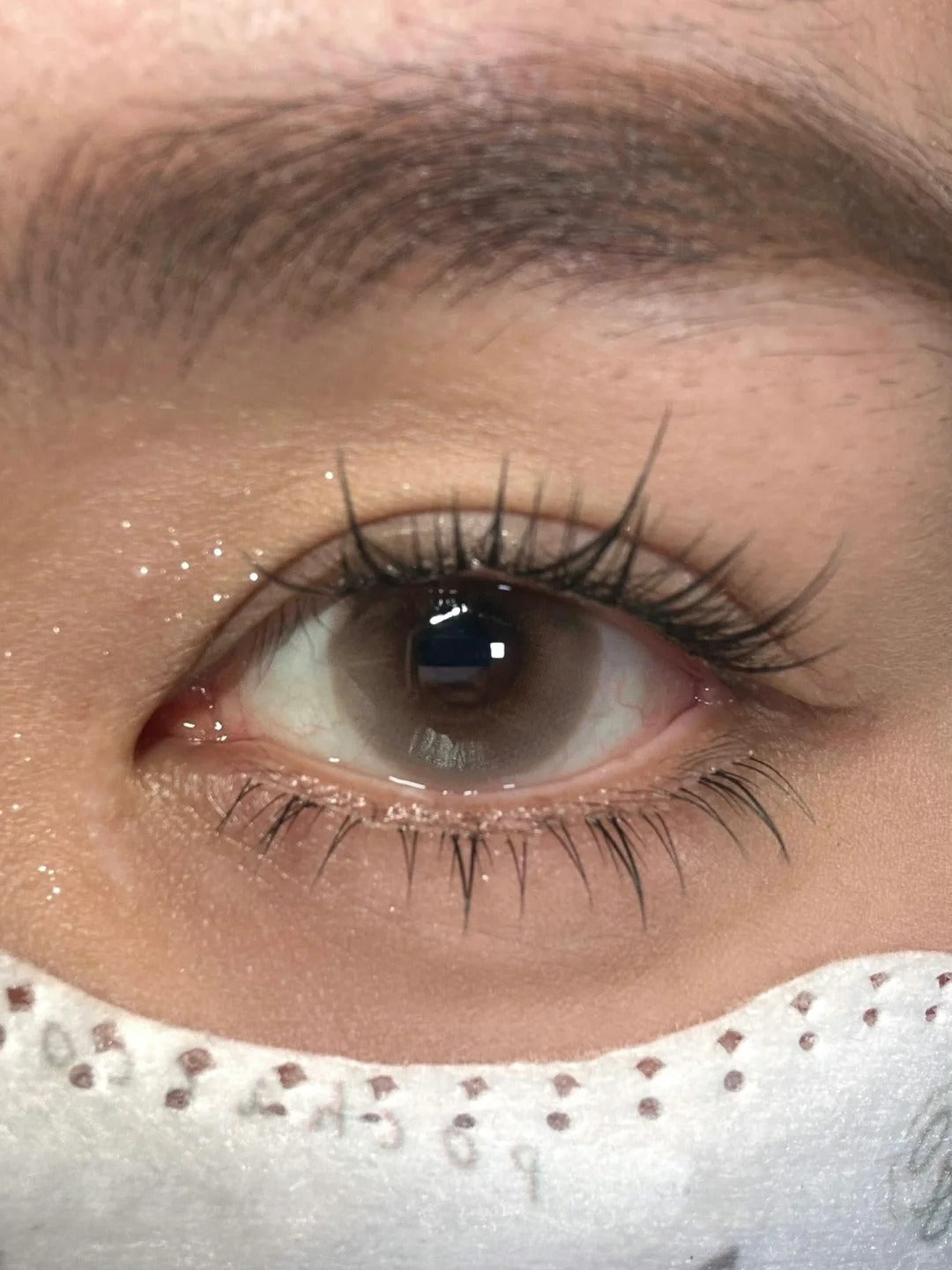 LOVEIIKIRA 水嘟嘟 日拋10片/1盒