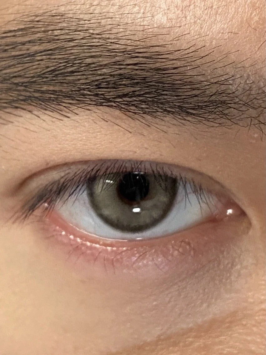 Pisircon 手提烏木 日拋10片/1盒