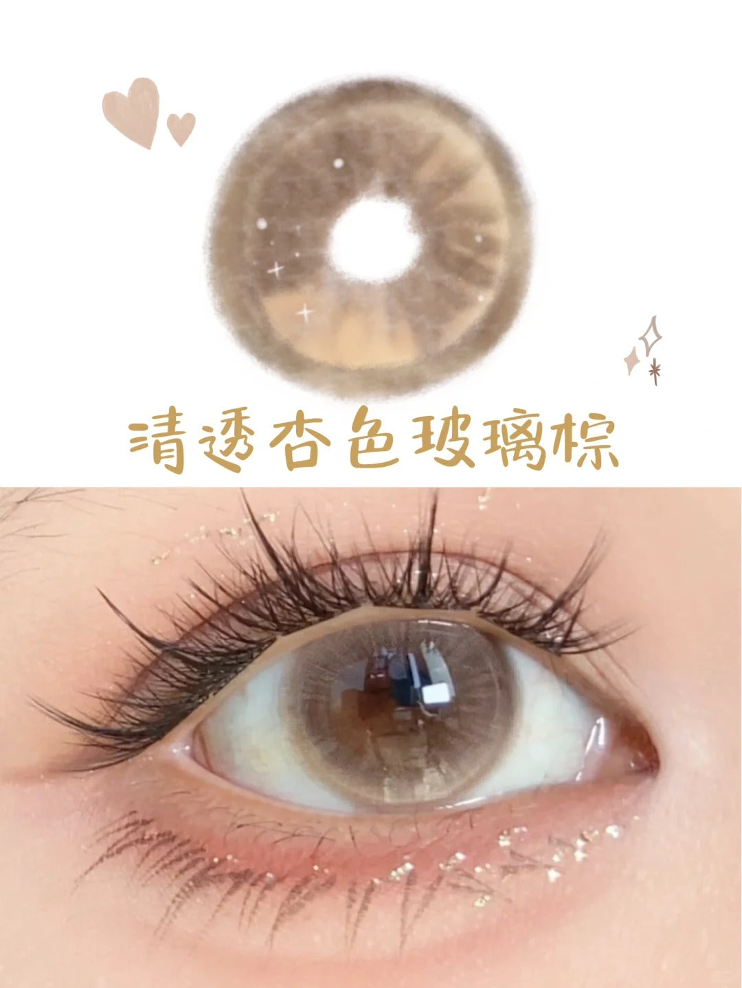 BOLLYCON 奈良綺遇 日拋10片/1盒