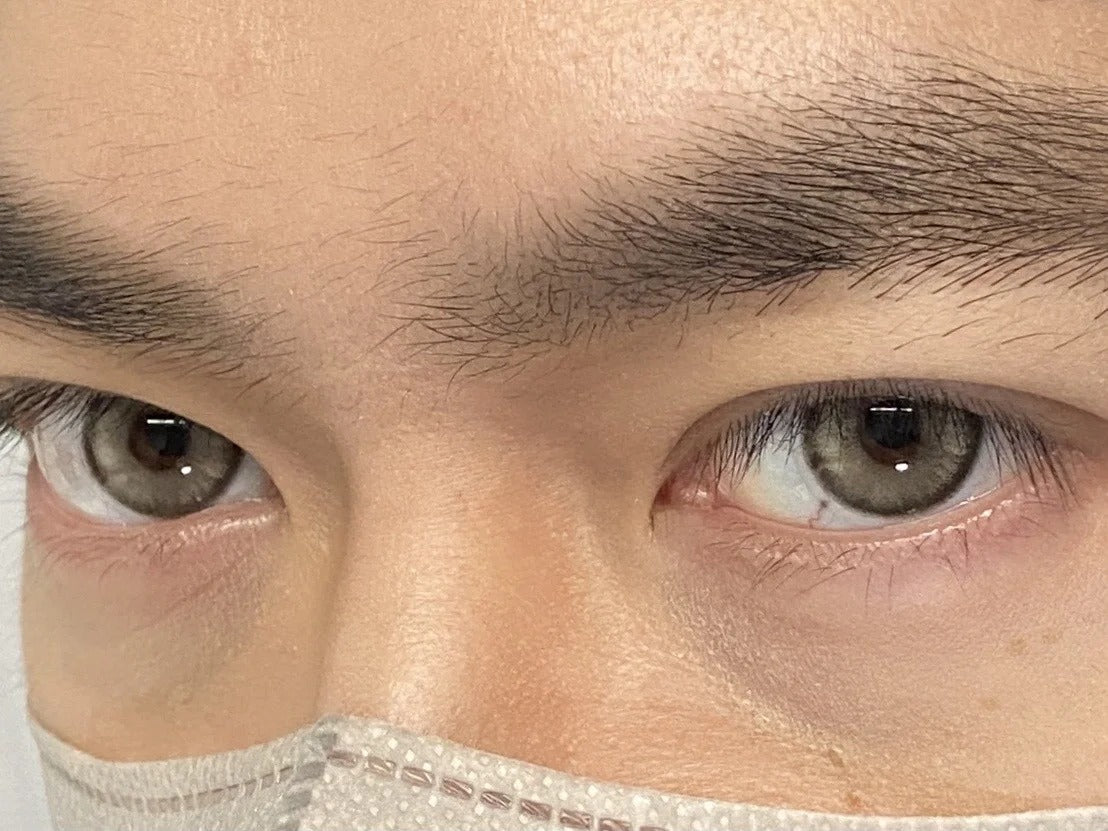 Pisircon 手提烏木 日拋10片/1盒