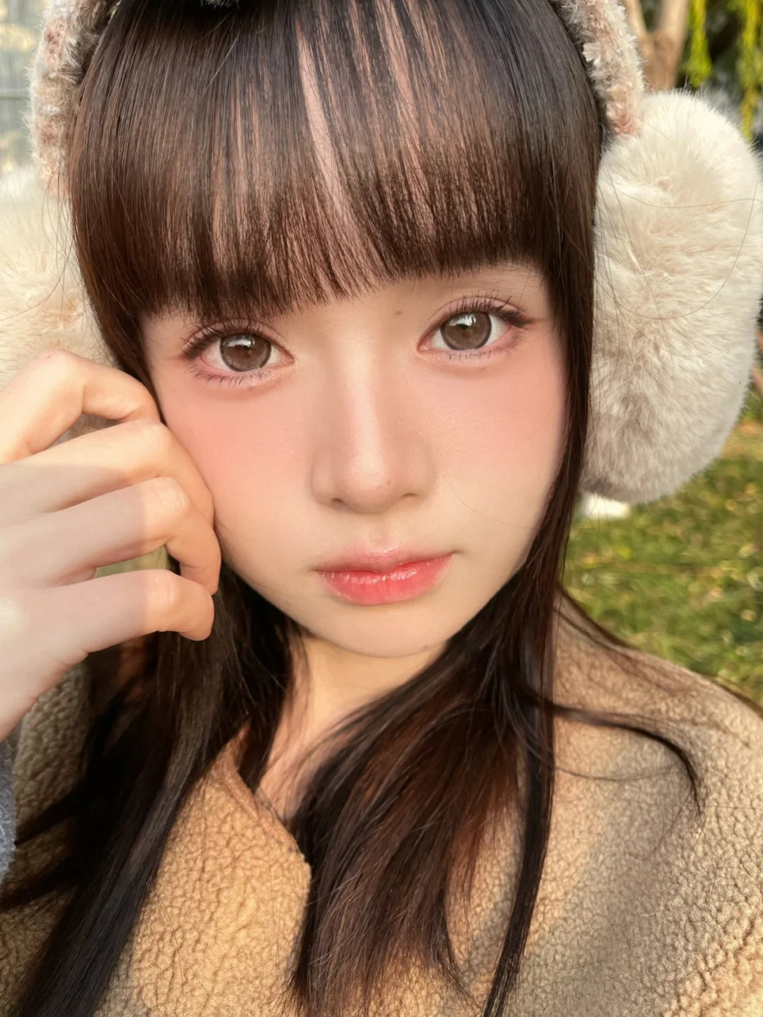 BarieCat 榛果小姐 日拋10片/1盒