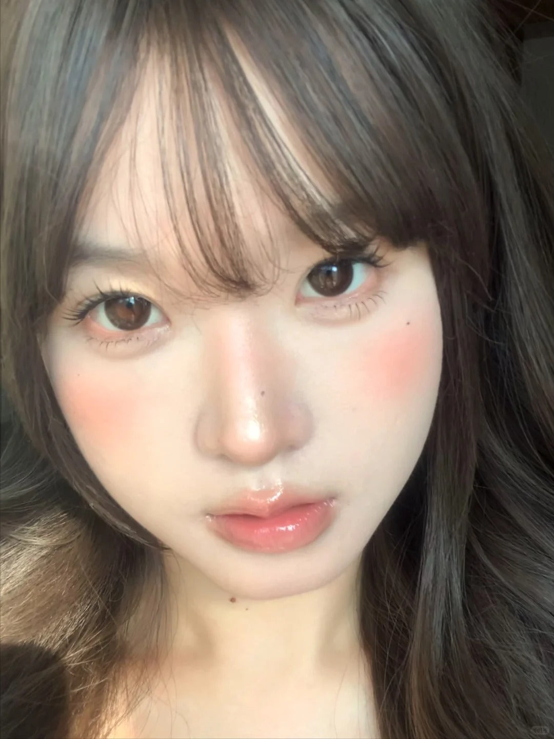Gugucon 球球巧 日拋10片/1盒
