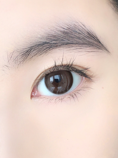 Gugucon 熱紅酒 日拋10片/1盒