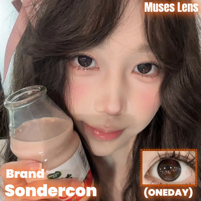 Sondercon 害羞兔兔 日抛10片/1盒