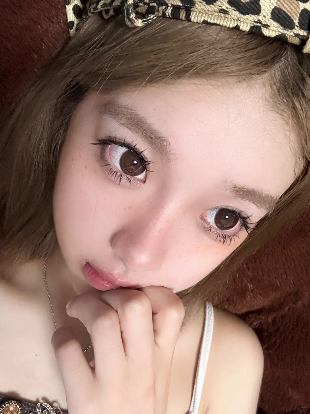 Gugucon 球球巧 日拋10片/1盒