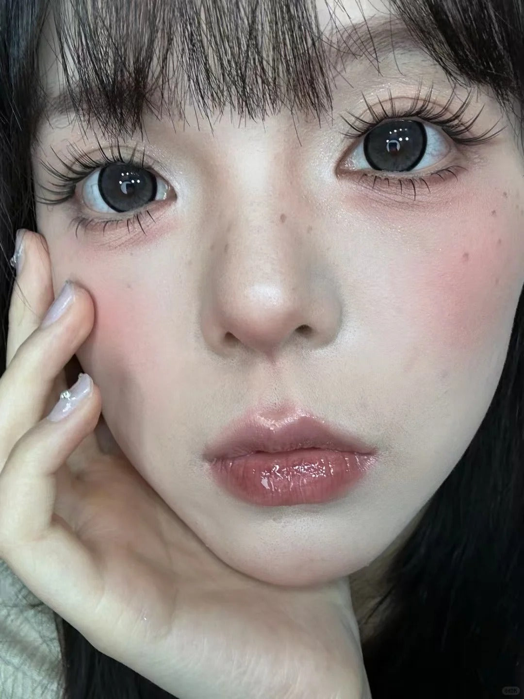 BarieCat 核桃先生 日拋10片/1盒
