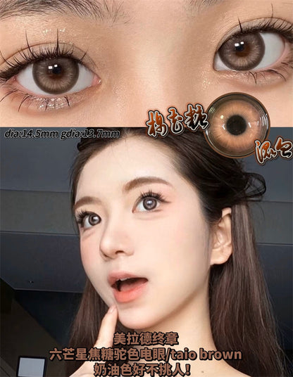Ginomii Taio Brown 混血爆米花 半年抛