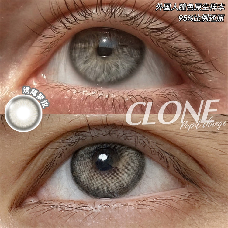 BOLLYCON Clone 誘尾蘿拉 日拋10片/1盒