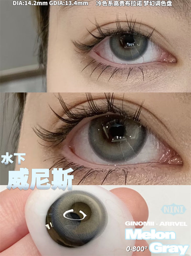 Ginomii Blue Melon Gray 威尼斯 半年抛
