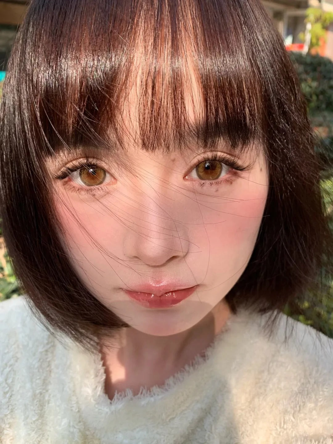 Yeelens C30 日拋10片/1盒