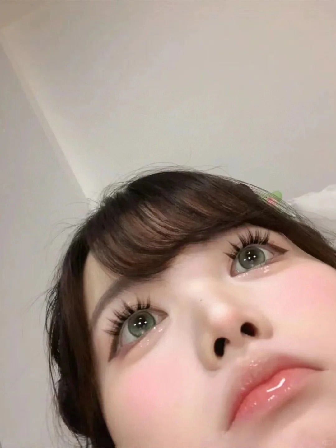Yeelens C33 日拋10片/1盒