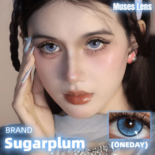 Sugarplum 波士頓 日拋10片/1盒