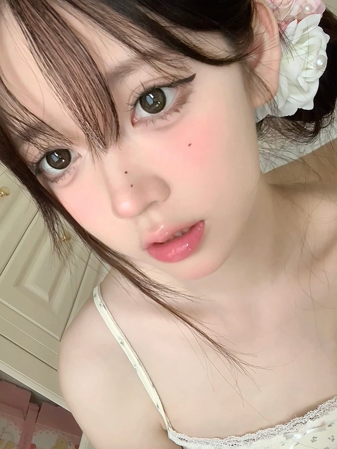 Gugucon 遇見神鹿 日拋10片/1盒