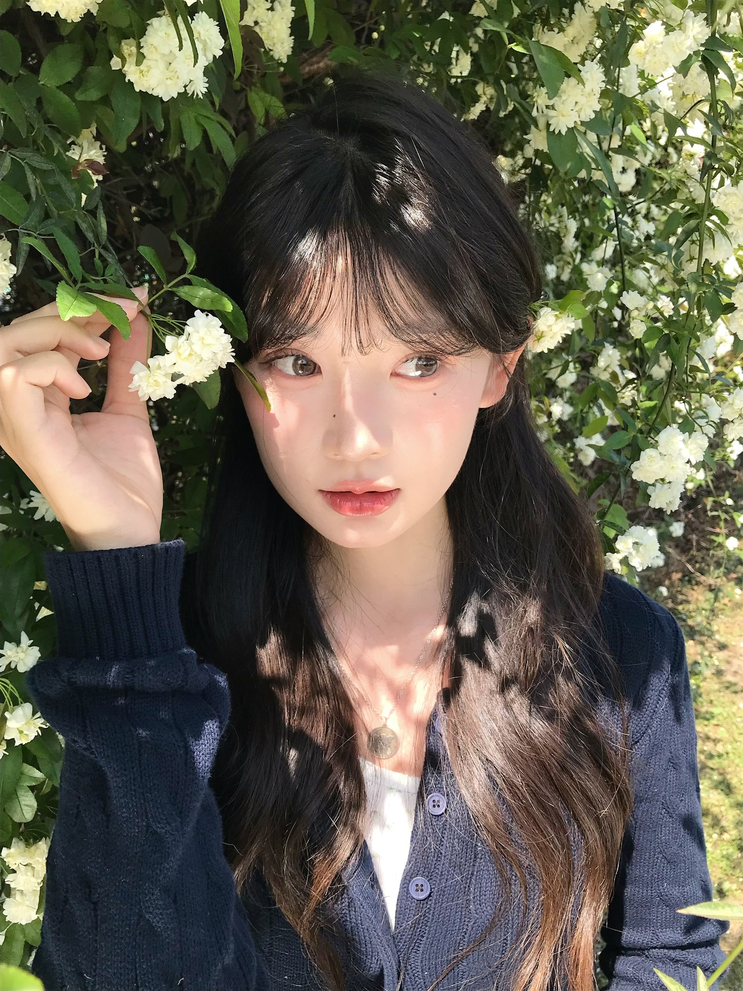KiraFairy 曼谷色 日拋10片/盒 ONEDAY CON