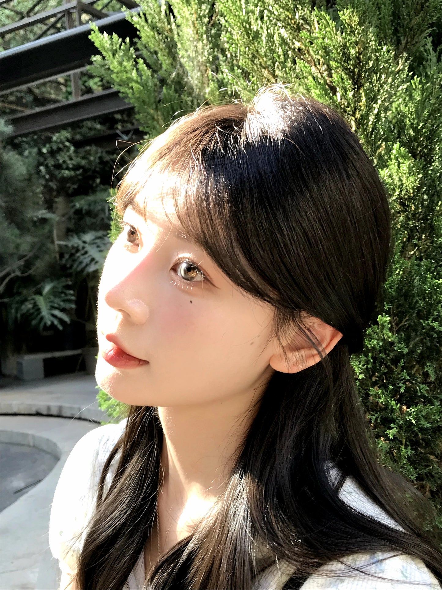 KiraFairy 催淚蛋 日拋 1盒10片