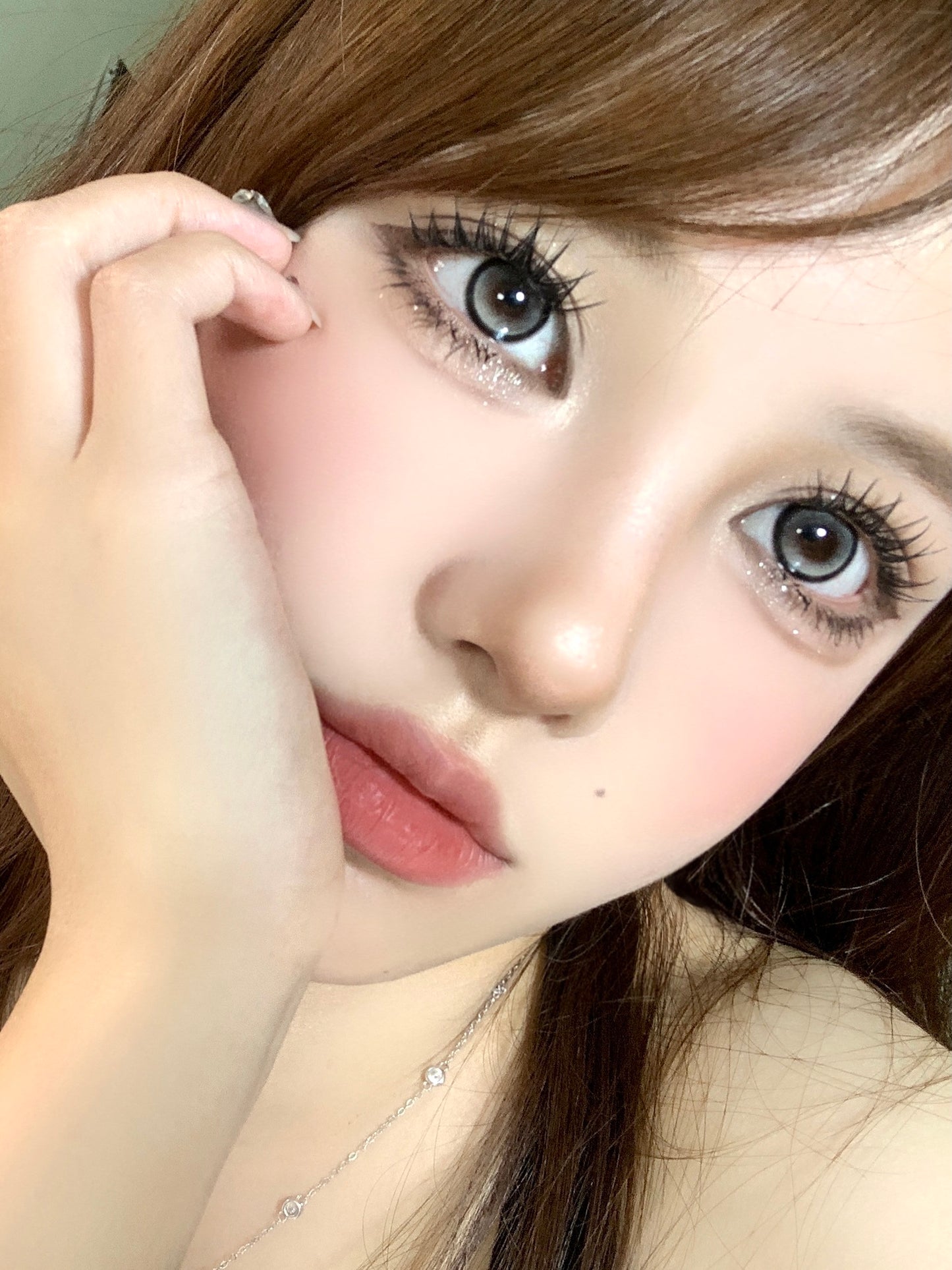 Focusmoon 隕石邊牧 日拋10片/1盒