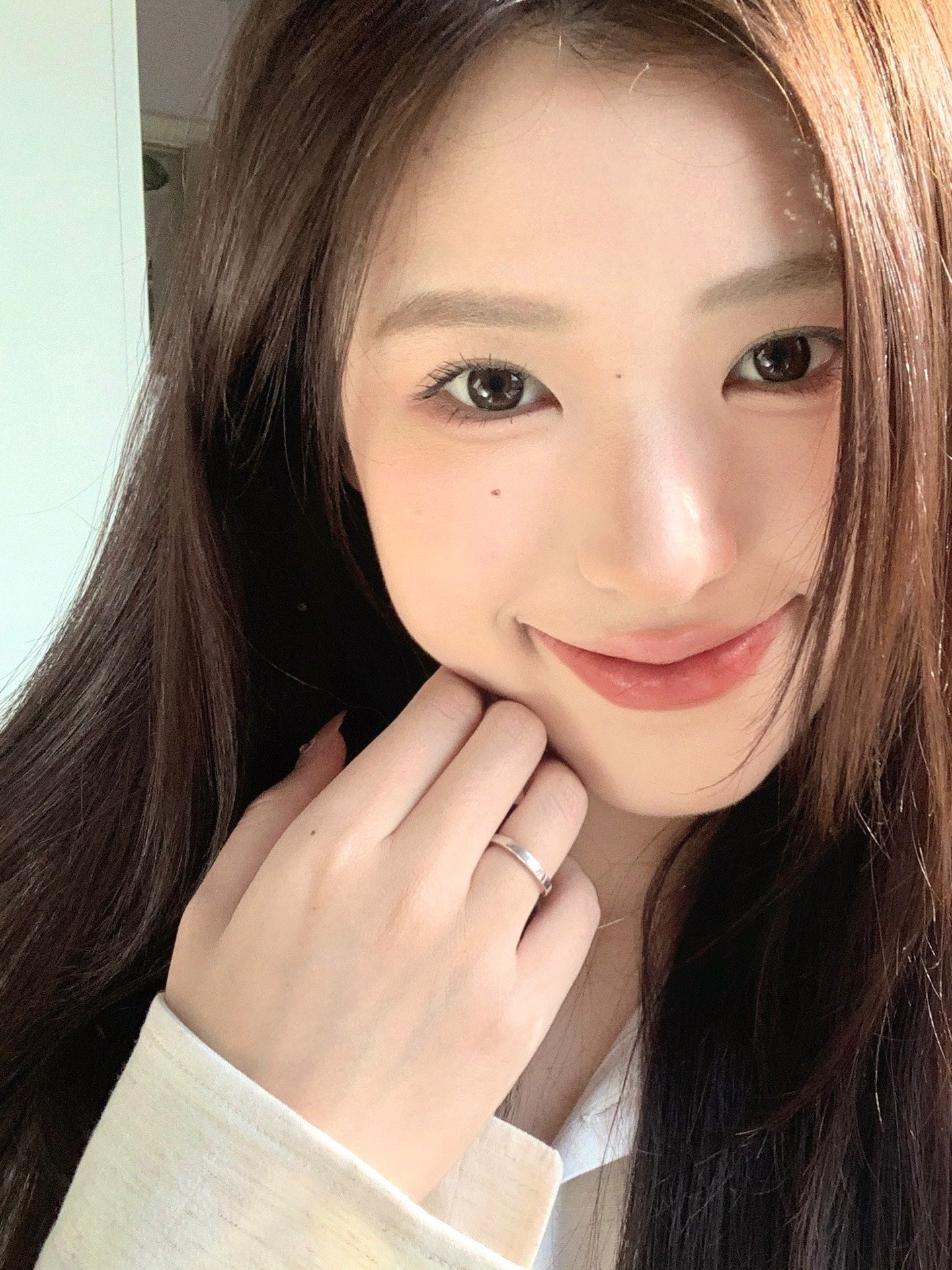 Gugucon 遇見神鹿 日拋10片/1盒