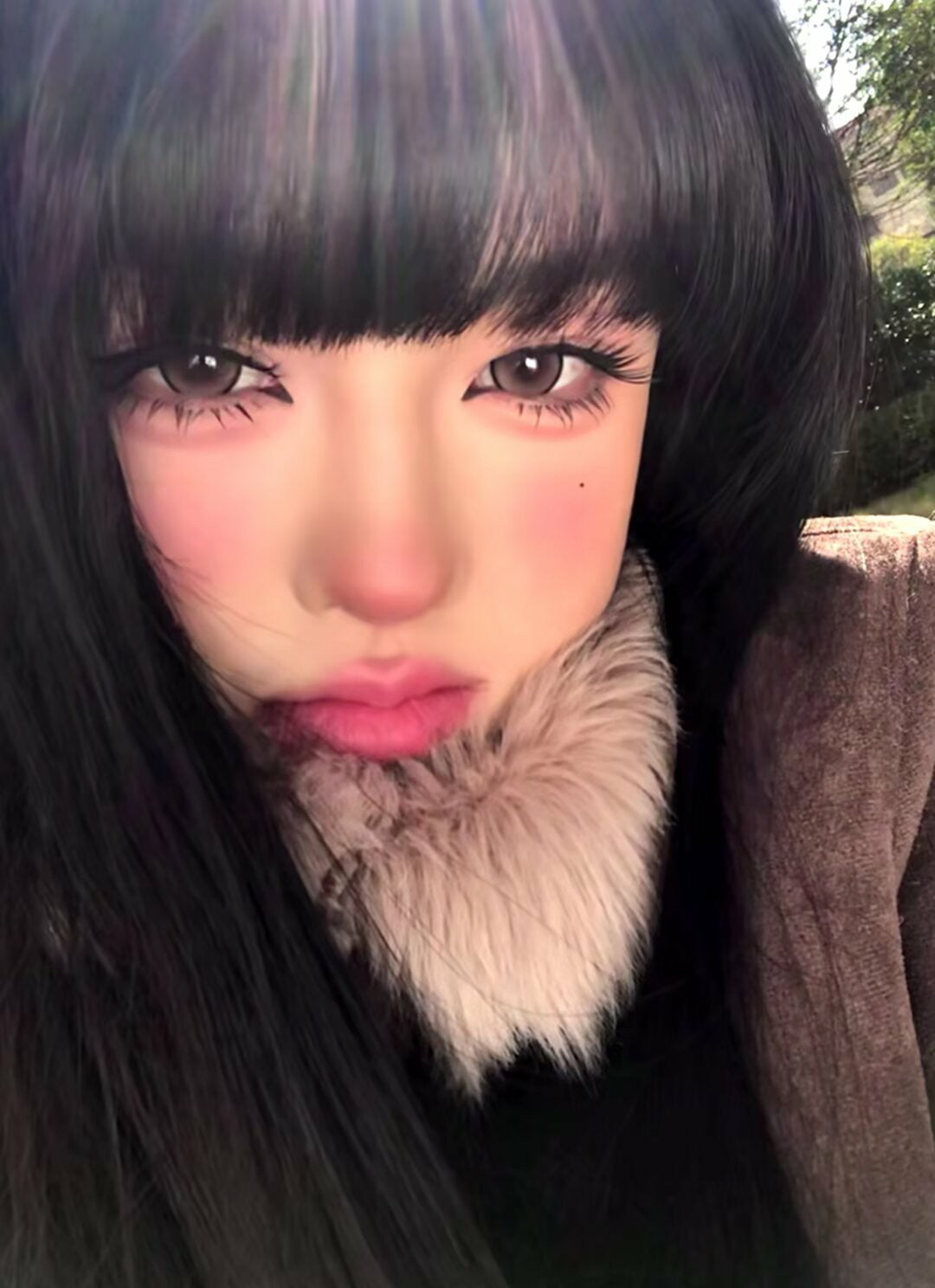 BarieCat 柚稚包 日拋10片/1盒