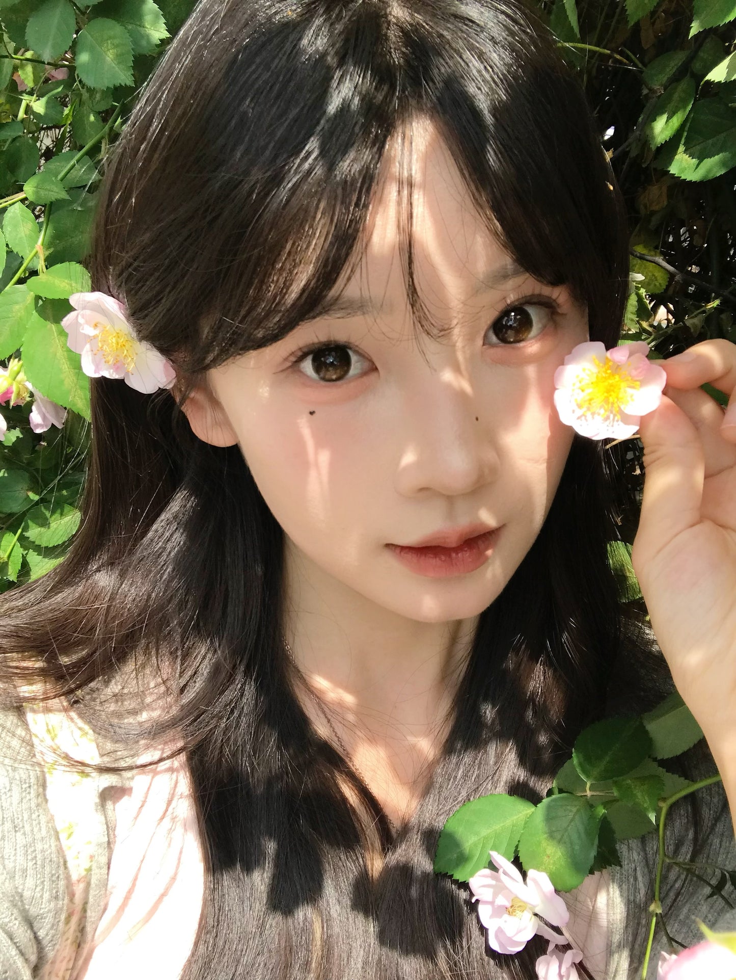 KiraFairy 琥珀立正 日拋10片/盒 ONEDAY CON(定軸高光)